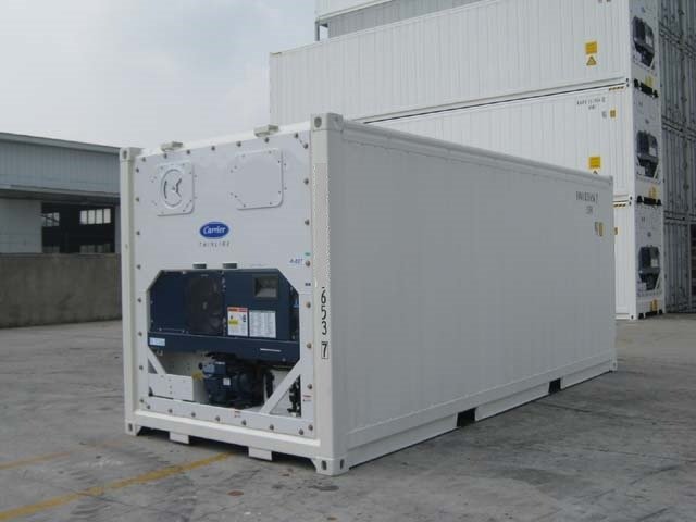 Container 20 pieds frigorifique reefer