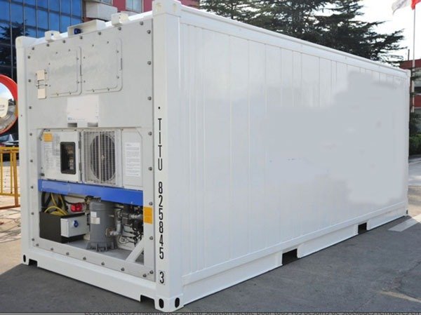 Container frigorifique 20 pieds d’occasion